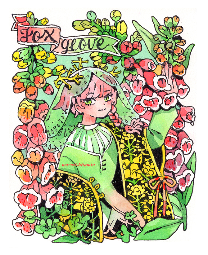 1girl, banner, black_shawl, border, braid, color_contrast, commentary, crown