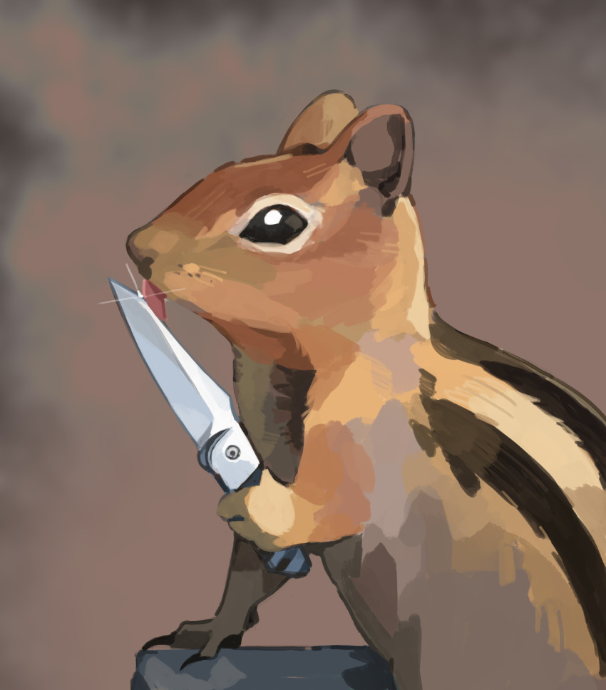 animal, animal_focus, commentary, english_commentary, gentlecat, highres, holding, holding_knife
