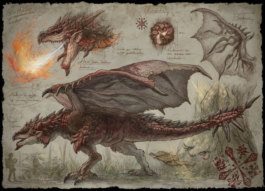 animal_focus, black_border, border, breath_weapon, breathing_fire, character_name, claws, dragon, fire, from_side, full_body, fungi, gibberish_text, hexagram, highres, kuribatake, monster, monster_hunter_(series), multiple_views, no_humans, open_mouth, paper_texture, rathalos, red_scales, reference_sheet, scales, sharp_teeth, silhouette, size_difference, spikes, stamp_mark, tail, teeth, tree, wings, wyvern