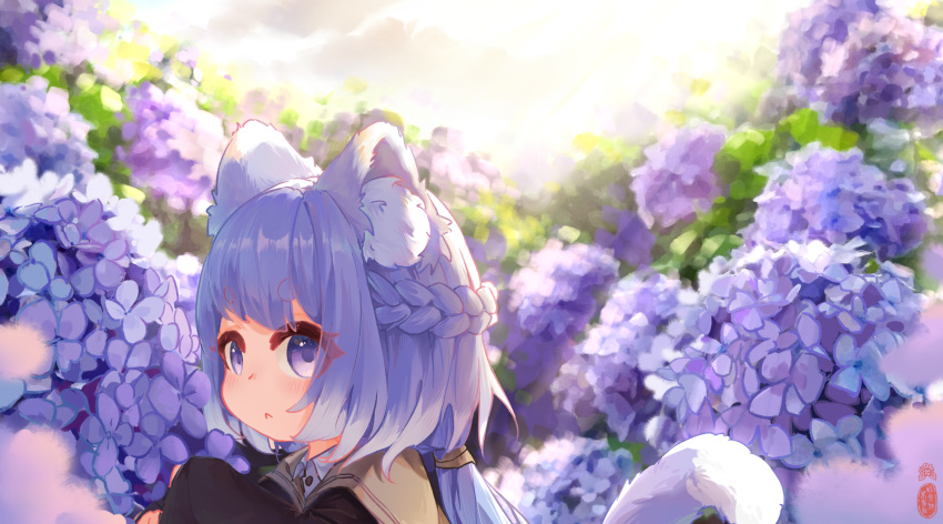 :<, animal_ear_fluff, animal_ears, blue_eyes, blue_hair, blurry, brown_jacket, cat_ears, cat_girl, cat_tail, ci_wen_jian_bu_cun_zai, colored_inner_animal_ears, depth_of_field, flower, highres, hydrangea, jacket, loli, long_hair, long_sleeves, looking_at_viewer, low-braided_long_hair, low-tied_long_hair, medium_hair, nekomusume, original, round_eyebrows, scenery, signature, sunlight, tail, upper_body