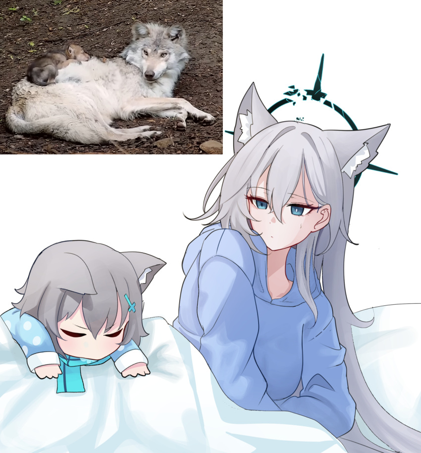 2girls, animal, animal_ear_fluff, animal_ears, blue_archive, blue_eyes, blue_hoodie, blue_pajamas