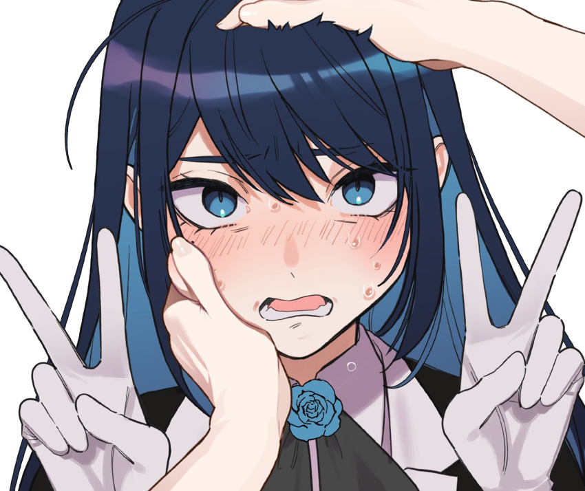 1girl, 1other, ado_(utaite), black_bow, black_bowtie, blue_hair, blush, bow, bowtie, chando_(ado), colored_inner_hair, commentary_request, double_v, gloves, hair_between_eyes, hand_on_another's_cheek, hand_on_another's_face, headpat, highres, long_hair, looking_at_viewer, lower_teeth_only, mole, mole_under_eye, multicolored_hair, nervous_sweating, open_mouth, pov, riseno, shirt, sidelocks, simple_background, sweat, teeth, utaite, v, white_background, white_gloves, white_shirt