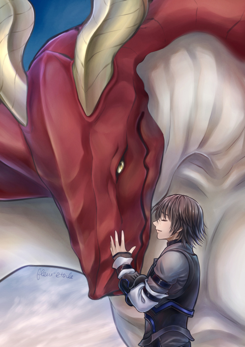 1boy, absurdres, angel_(drag-on_dragoon), armor, brown_hair, caim_(drag-on_dragoon), closed_eyes, crying
