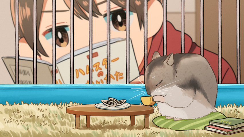 1girl, animal, book, book_stack, brown_eyes, brown_hair, cage, commentary_request