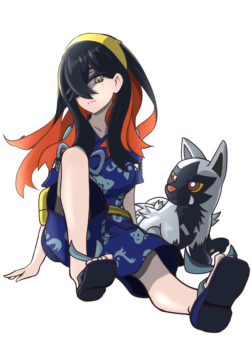 1girl, absurdres, animal, black_hair, blue_kimono, carmine_(pokemon), commentary_request, full_body, hair_between_eyes, hair_over_one_eye, hairband, highres, japanese_clothes, kimono, kuga, long_hair, looking_at_animal, mole, mole_under_eye, multicolored_hair, pokemon, pokemon_sv, poochyena, redhead, sandals, simple_background, sitting, two-tone_hair, white_background, yellow_eyes, yukata