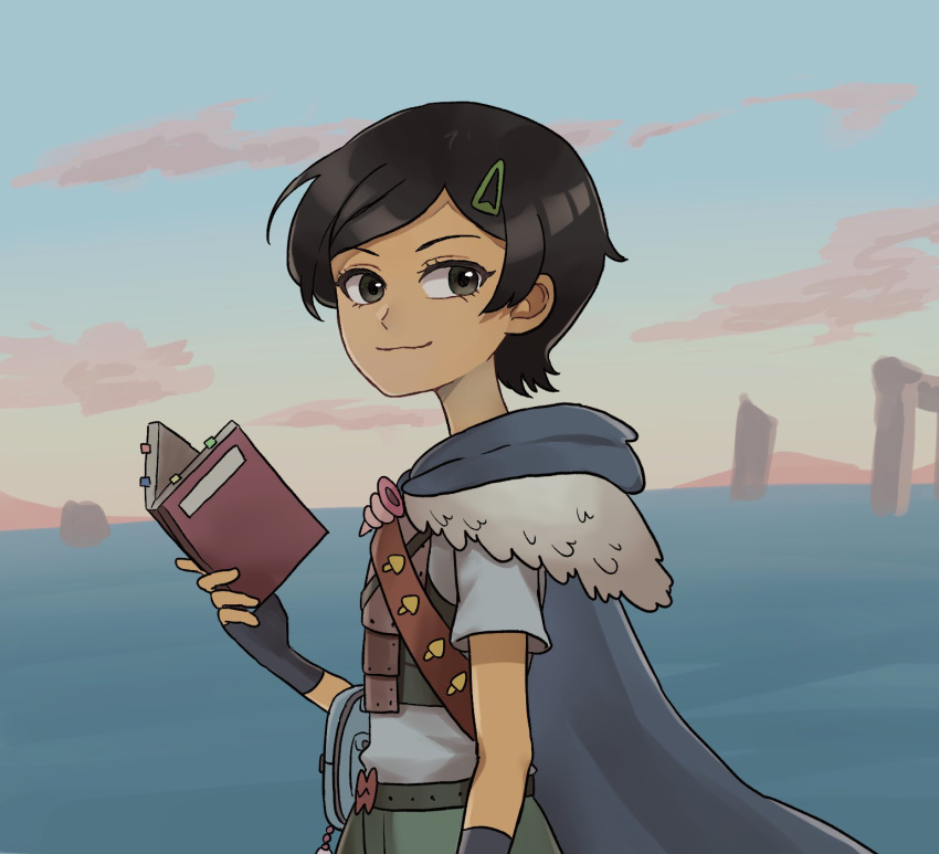 1girl, amphibia, armor, belt, black_eyes, black_hair, blue_cape, book