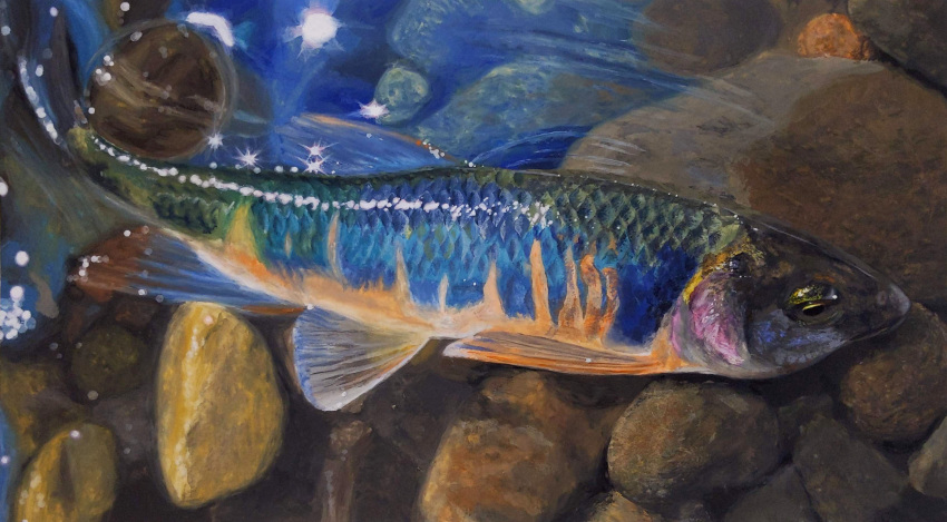 absurdres, animal, animal_focus, fish, highres, in_water, naoya_ohtani, no_humans