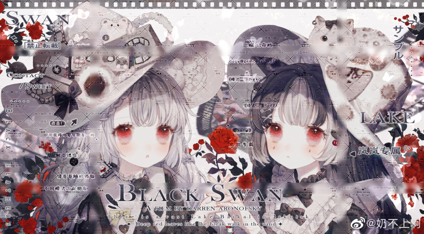 2girls, animal_ears, animal_on_head, bear_ears, bear_hat_ornament, black_bow, black_bowtie, black_dress, black_hair, blunt_bangs, bow, bowtie, braid, bud, butter, button_hair_ornament, cat, cat_ears, cat_on_head, chinese_commentary, collared_dress, commentary_request, dress, expressionless, eyelashes, fingernails, flower, food, frilled_dress, frilled_headwear, frilled_sleeves, frills, grey_hair, hair_ornament, hairclip, hat, hat_bow, heart, heart_print, highres, holding, holding_flower, interlocked_fingers, light_blush, light_particles, long_hair, long_sleeves, low_twin_braids, marking_on_cheek, multicolored_hair, multiple_girls, nai_bu_shang_a, on_head, original, parted_lips, red_eyes, red_flower, red_rose, rose, sample_watermark, sharing, side_braid, straight_hair, streaked_hair, teardrop_facial_mark, too_many_watermarks, top_hat, twin_braids, upper_body, watermark, weibo_watermark, white_background, white_hair, white_hat, witch_hat, yellow_bow