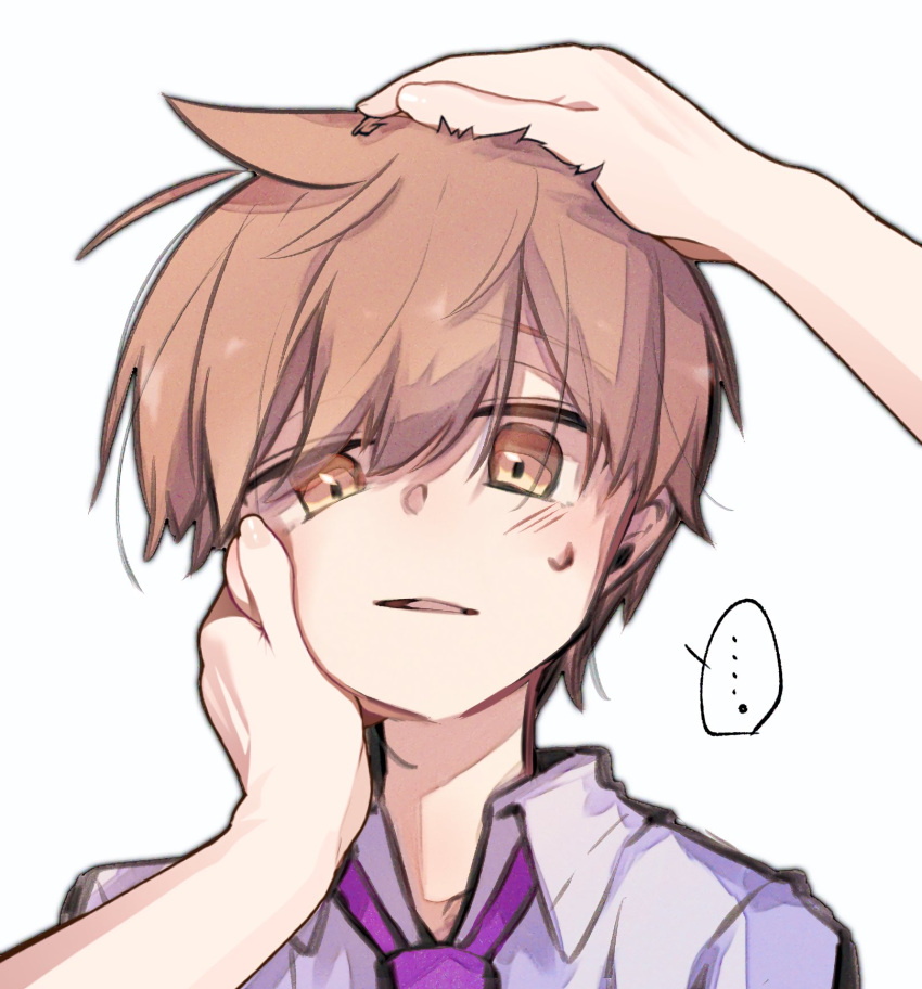 ..., 1boy, bishounen, brown_eyes, brown_hair, collared_shirt, commentary, florian_(pokemon)