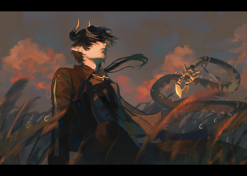 1boy, absurdres, arknights, brown_background, brown_hair, brown_jacket, brown_sky, brown_theme, chinese_commentary, chong_yue_(alighting)_(arknights), chong_yue_(arknights), clouds, cloudy_sky, commentary_request, dragon_boy, dragon_horns, dragon_tail, earrings, field, floating_hair, hair_over_eyes, highres, horns, jacket, jewelry, long_hair, long_sleeves, low_ponytail, male_focus, outdoors, pointy_ears, shonoman, sitting, sky, tail, upper_body, very_long_tail, wind