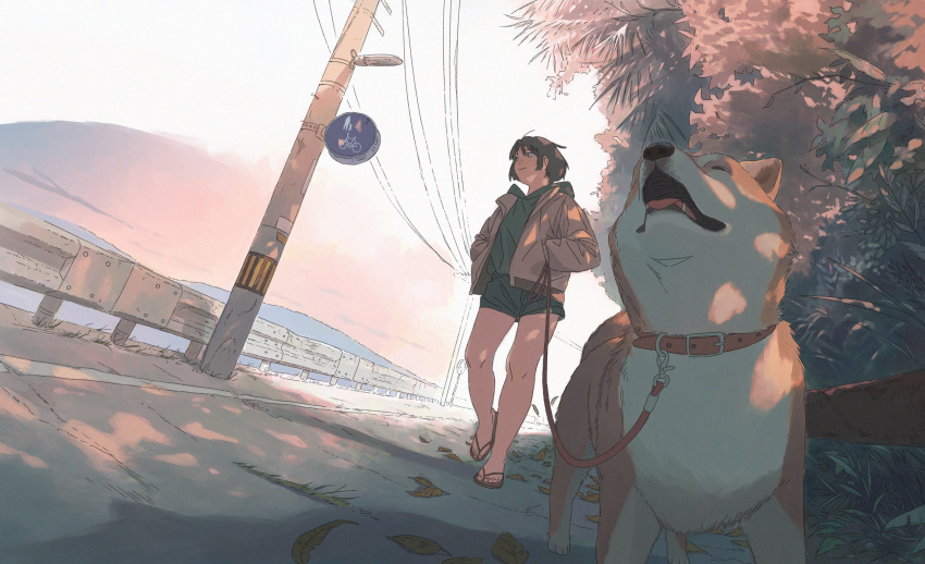 1girl, absurdres, animal, bare_arms, brown_hair, bush, commentary, dappled_sunlight, day, dog, dutch_angle, flip-flops, guard_rail, hands_in_pockets, highres, holding, holding_leash, hood, hood_down, hoodie, jacket, jiankun_yu, leaf, leash, long_sleeves, looking_to_the_side, ocean, open_clothes, open_jacket, original, outdoors, palm_leaf, pet_walking, power_lines, road_sign, sandals, shiba_inu, short_hair, sign, sky, smile, sunlight, symbol-only_commentary, utility_pole, walking