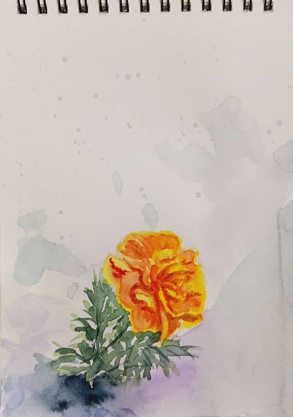 flower, flower_focus, gradient_background, knt20203, leaf, no_humans, orange_flower, orange_rose