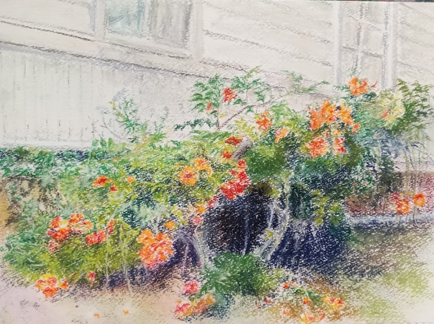building, bush, flower, knt20203, leaf, no_humans, orange_flower, original