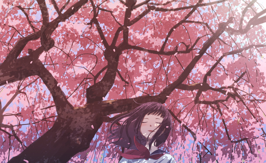 1girl, blue_sailor_collar, brown_hair, cherry_blossoms, closed_eyes, commentary, falling_petals, highres, neckerchief, open_mouth, original, petals, red_neckerchief, sailor_collar, school_uniform, shirt, short_hair, solo, tonboook, tree, white_shirt