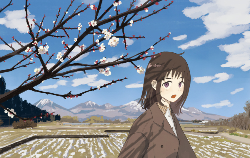 1girl, blue_sky, brown_hair, brown_jacket, checkered_collar, cherry_blossoms, clouds, cloudy_sky