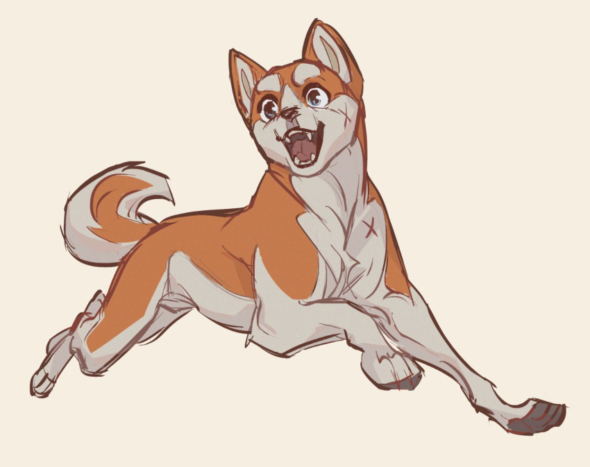akita_inu, animal, animal_focus, brown_fur, dog, ginga_(franchise), ginga_densetsu_weed, ginga_densetsu_weed:_orion, happy, no_humans, open_mouth, orion_(ginga_densetsu_weed), pawpads, running, sam_(kyaptainkiddo), scar, simple_background, sketch, smile, tail