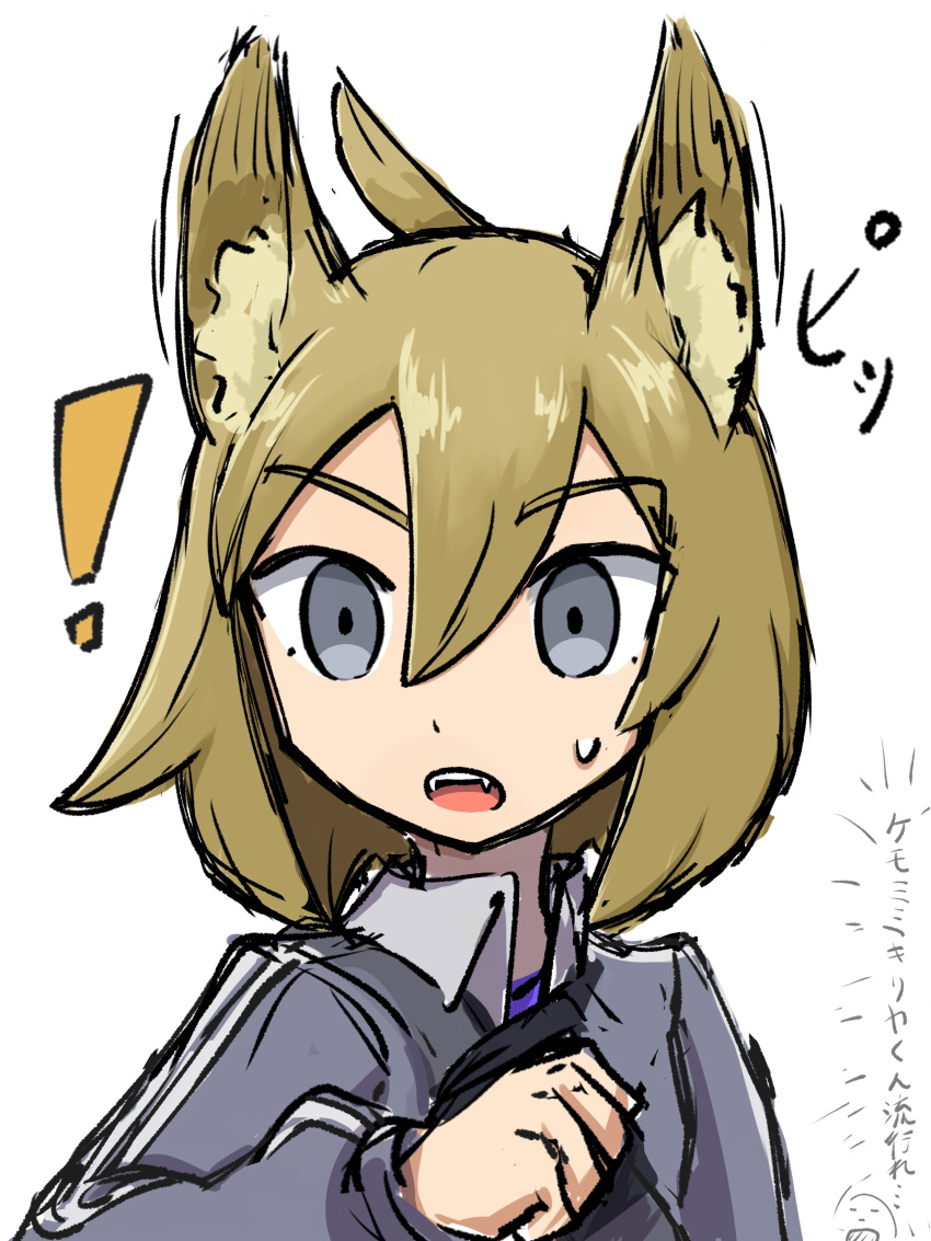 !, 1boy, absurdres, animal_ears, blonde_hair, dog_ears, fangs, grey_eyes, grey_jacket, highres, jacket, looking_at_viewer, male_focus, open_mouth, paulo_(pokemon), pokemon, pokemon_masters_ex, shio_onigiri, simple_background, solo, sweat, upper_body, white_background