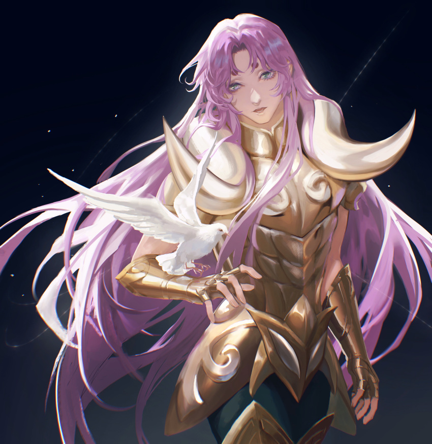 632698090, absurdres, aries_muu, armor, bird, bird_on_hand, black_background, dove, fantasy, gold_armor, gold_saint, highres, long_hair, looking_at_viewer, pink_hair, saint_seiya, saint_seiya:_rising_cosmo