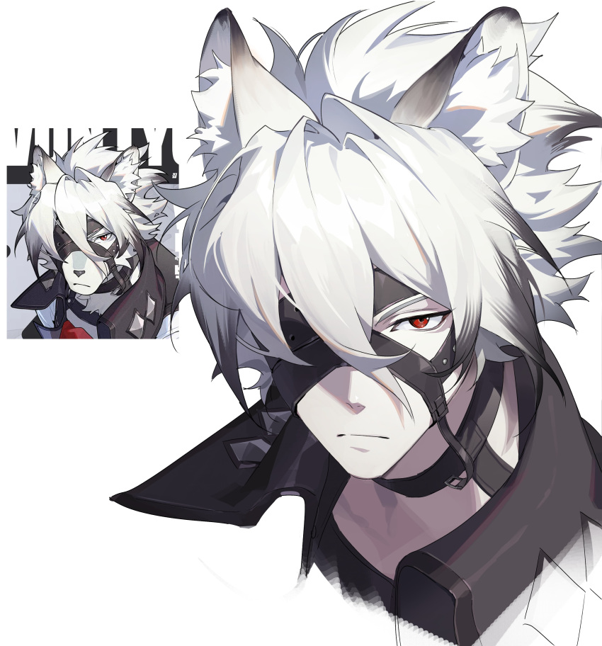1boy, absurdres, animal_ear_fluff, animal_ears, animal_nose, black_choker, black_hair, choker