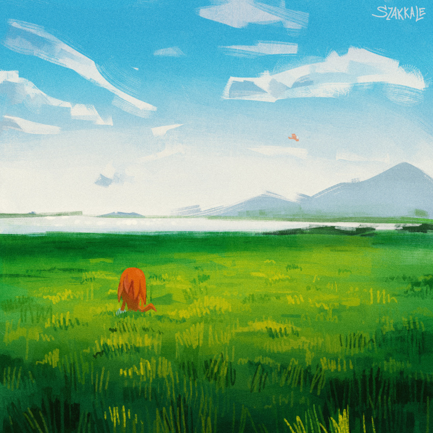 1boy, clouds, day, field, from_behind, furry, furry_male, grass, highres, knuckles_the_echidna, male_focus, mary-venom, nature, outdoors, scenery, signature, sonic_(series), standing