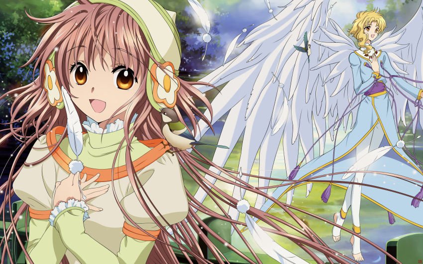 clamp, hanato_kobato, kobato, kohaku_(kobato), wings