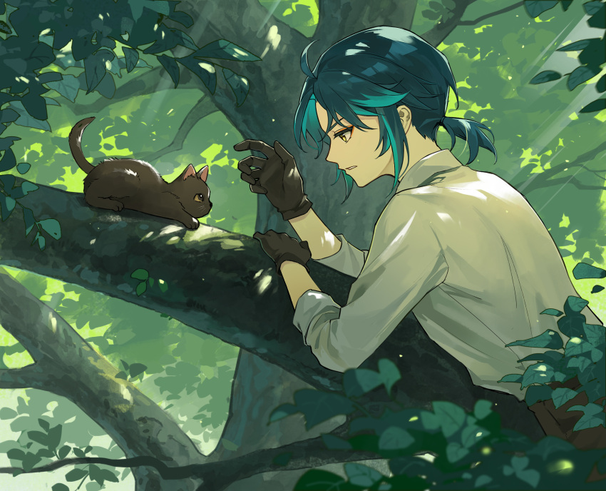 1boy, alternate_costume, alternate_hairstyle, alternate_universe, analogous_colors, animal, black_cat, black_gloves