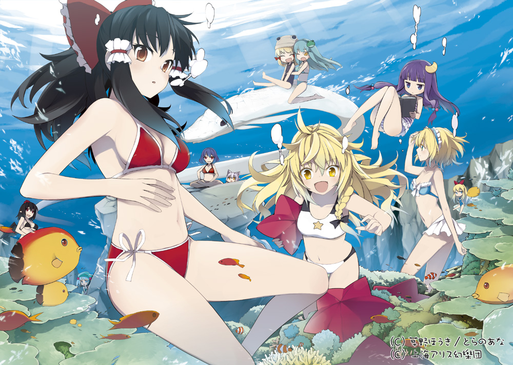 alice_margatroid, bad_id, bikini, black_hair, blonde_hair, blue_eyes, book, bow