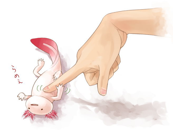 hands, nakashima_(middle_earth), on_back, original, petting, salamander