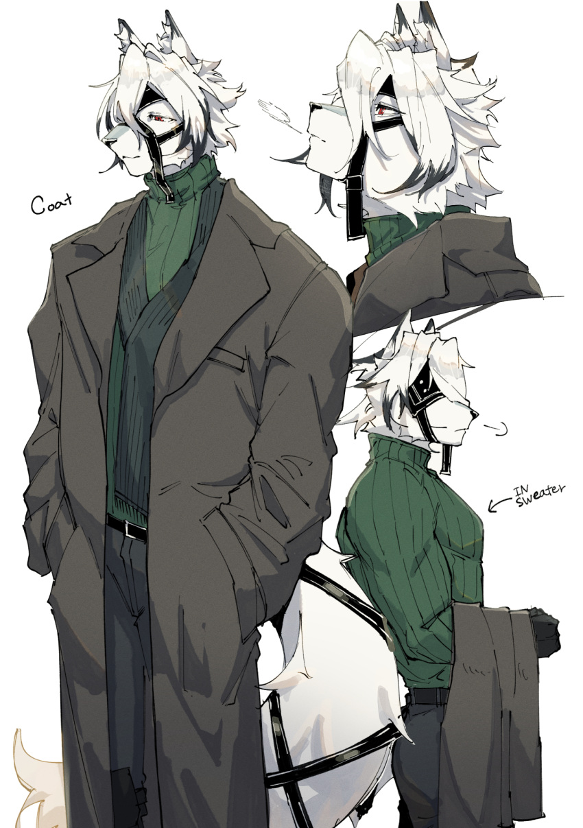 1boy, animal_ear_fluff, animal_ears, belt, belt_buckle, black_belt, black_pants, black_scarf