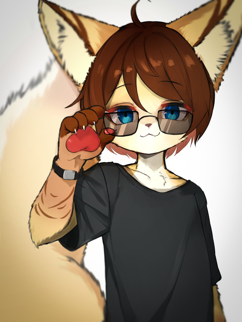 1boy, :3, adjusting_eyewear, ahoge, animal_ear_fluff, animal_ears, black_shirt, blue_eyes, blurry, blurry_background, body_fur, claws, depth_of_field, fang, fox_boy, fox_ears, fox_tail, furry, furry_male, highres, large_tail, lilkon, looking_at_viewer, male_focus, original, pawpads, shirt, solo, sunglasses, t-shirt, tail, watch, watch