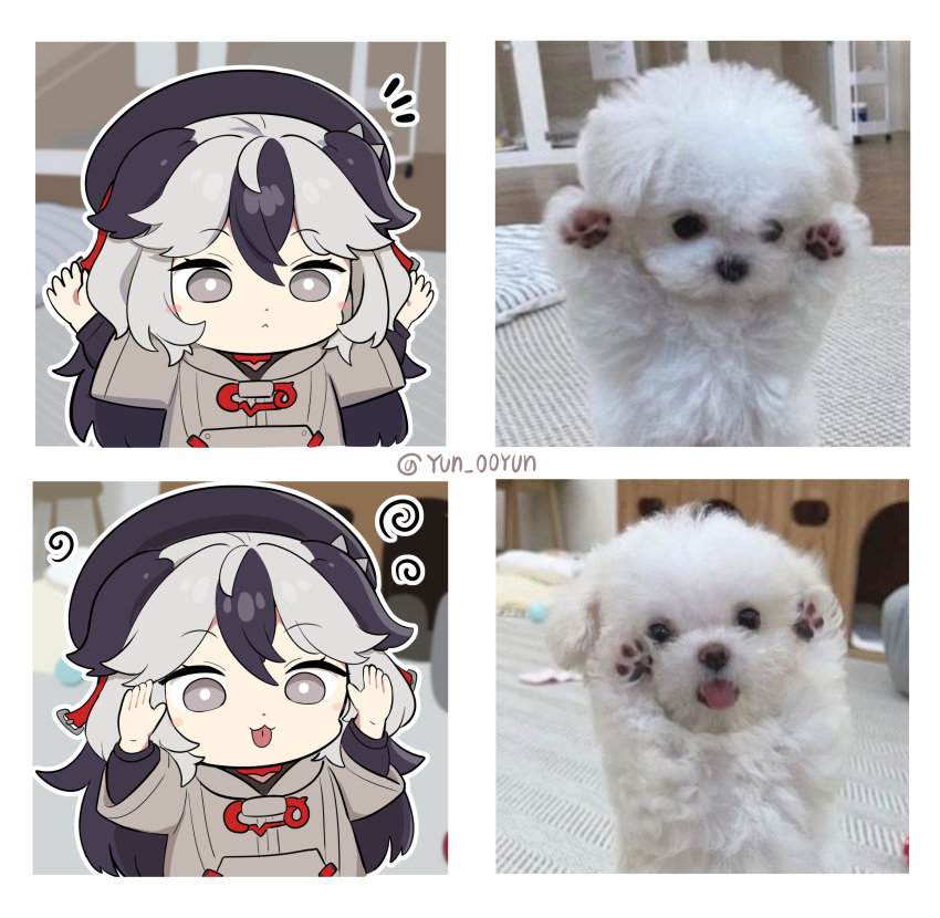 1girl, :<, absurdres, animal, beret, black_hair, black_hat, blush_stickers, chibi, closed_mouth, commentary_request, coralie_(honkai_impact), dog, grey_eyes, grey_hair, grey_hoodie, hands_up, hat, highres, honkai_(series), honkai_impact_3rd, hood, hood_down, hoodie, korean_commentary, layered_sleeves, long_sleeves, multicolored_hair, notice_lines, ooyun, outline, photo-referenced, photo_inset, puffy_long_sleeves, puffy_sleeves, reference_inset, short_over_long_sleeves, short_sleeves, twitter_username, two-tone_hair, white_outline