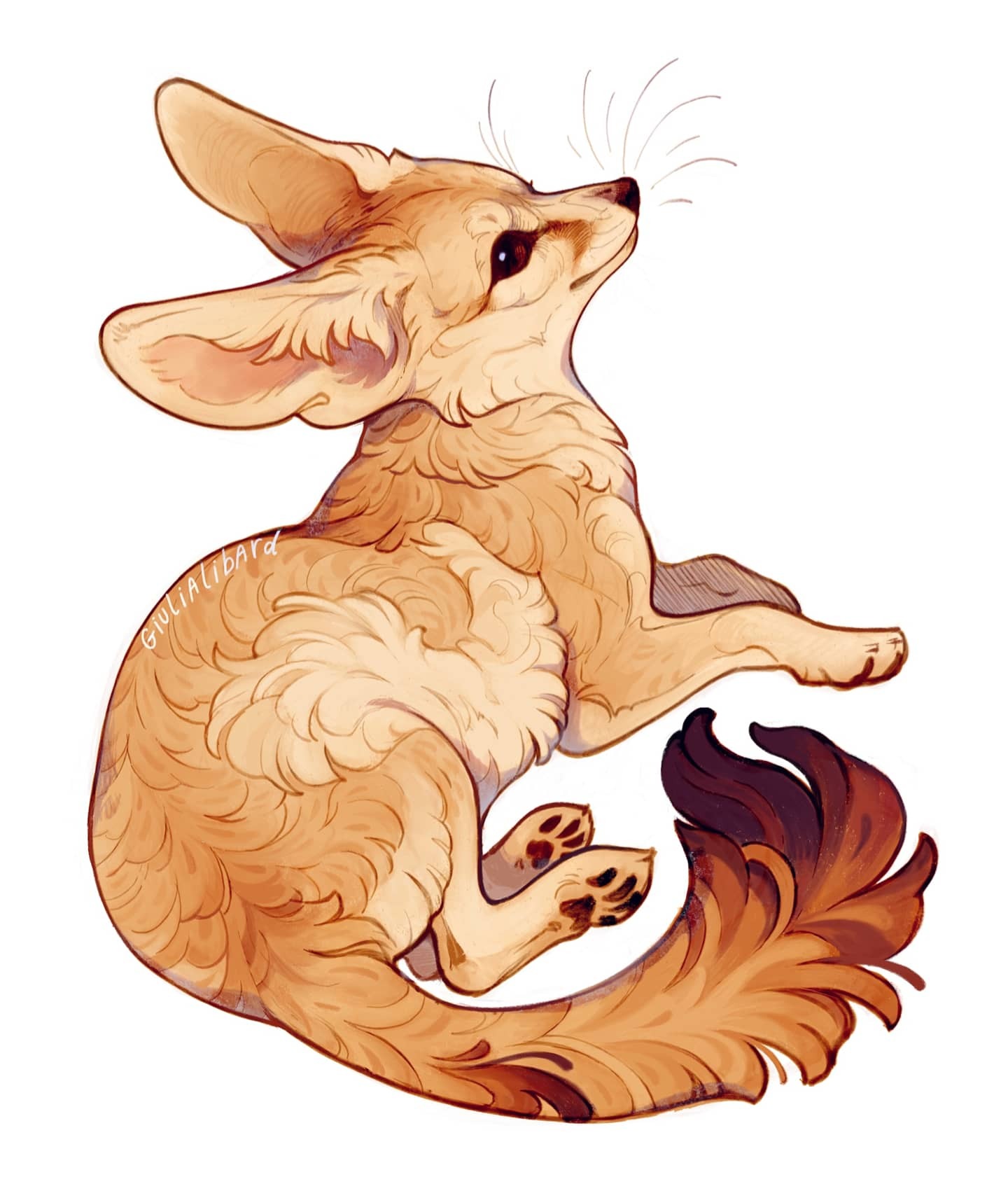 animal, animal_focus, closed_mouth, facing_up, fennec_fox, fox, full_body, giulialibard