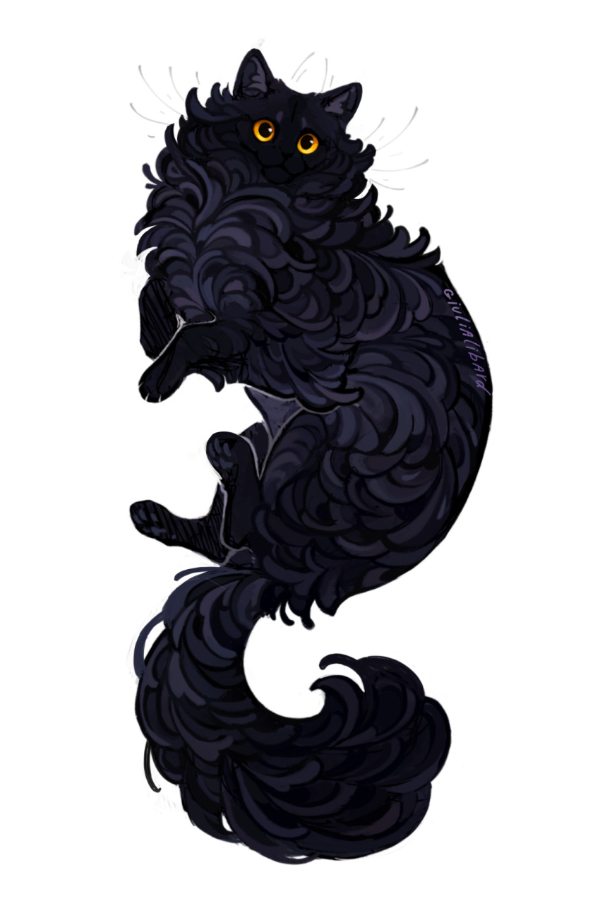 animal, animal_focus, artist_name, black_cat, black_fur, cat, commission, dilated_pupils, floating, full_body, giulialibard, highres, knees_up, looking_ahead, no_humans, no_mouth, no_nose, orange_eyes, original, own_hands_together, signature, simple_background, solo, turning_head, white_background