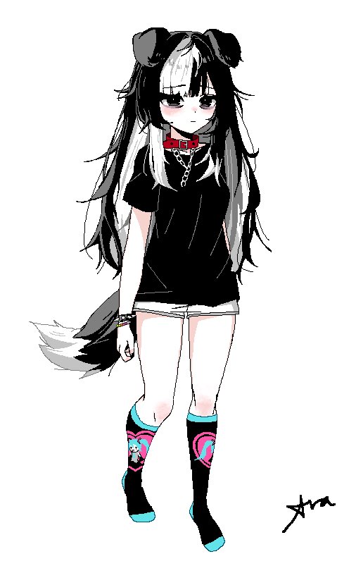 1girl, animal_collar, animal_ears, black_hair, black_shirt, bracelet, chain, collar, commentary, dog_ears, dog_girl, dog_tail, full_body, hatsune_miku, jewelry, kneehighs, long_hair, lovedstarlight, multicolored_hair, original, red_collar, shirt, short_shorts, shorts, signature, socks, solo, spiked_bracelet, spikes, t-shirt, tail, two-tone_hair, vocaloid, white_hair, white_shorts