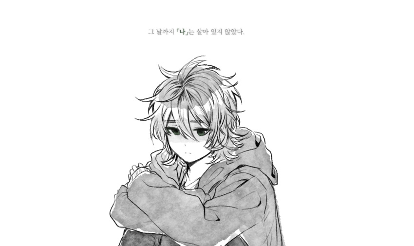 1boy, closed_mouth, green_eyes, greyscale, hair_between_eyes, hood, hood_down, hoodie