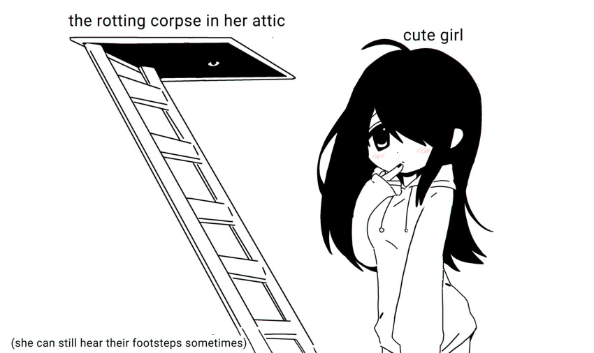 1girl, attic, black_eyes, black_hair, comedy, female, hoodie, horror_(theme)