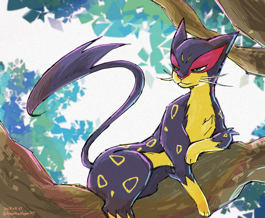 animal_focus, cat, closed_mouth, commentary_request, dated, green_eyes, highres, kurakimikage327