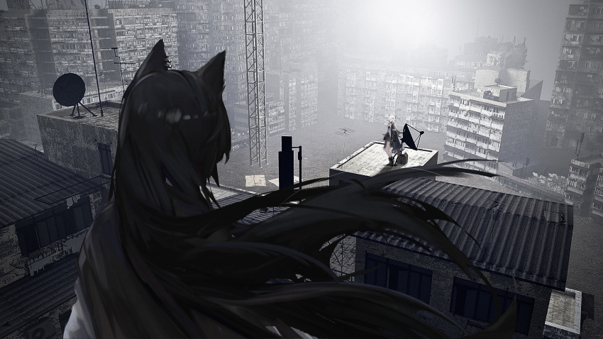 2girls, absurdres, animal_ears, arknights, black_coat, black_footwear, black_hair, boots, box, building, buttons, cardboard_box, chinese_commentary, coat, commentary, faceless, faceless_female, facing_away, grey_hair, grey_theme, hair_ornament, hairclip, highres, lappland_(arknights), lappland_(refined_horrormare)_(arknights), long_hair, long_sleeves, multiple_girls, official_alternate_costume, on_roof, open_clothes, open_coat, outdoors, parabolic_antenna, rooftop, shpm7423, standing, texas_(arknights), unbuttoned, wind, wolf_ears, wolf_girl