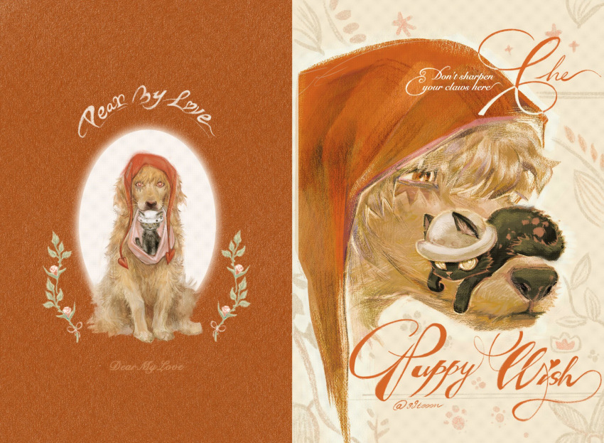 2boys, animal, animalization, brown_eyes, cat, chinese_commentary, dog, donquixote_rocinante, english_text, hair_between_eyes, hat, highres, holding, holding_animal, kitten, looking_at_viewer, makeup, male_focus, multiple_boys, one_piece, orange_background, patterned_background, red_hood, toongue, trafalgar_law, twitter_username, white_hat