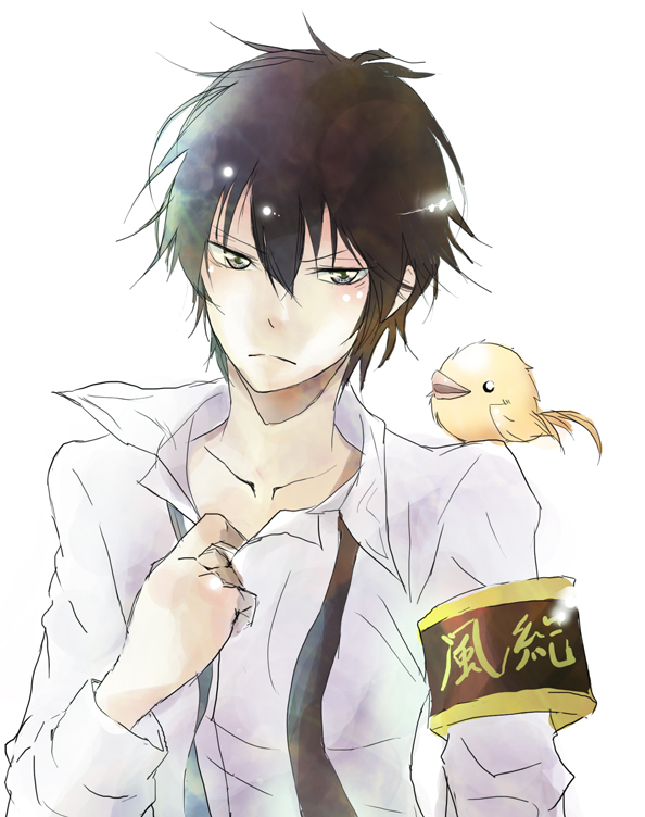 bird, black_eyes, black_hair, frown, grey_eyes, hibari_kyoya, hibird, katekyo_hitman_reborn