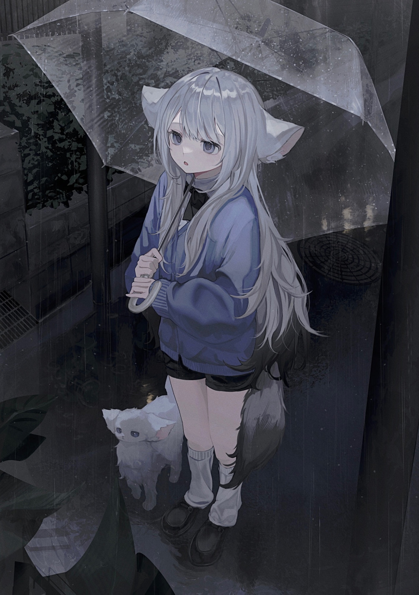 1girl, animal_ears, black_shorts, blue_cardigan, cardigan, creature, grey_eyes, grey_hair