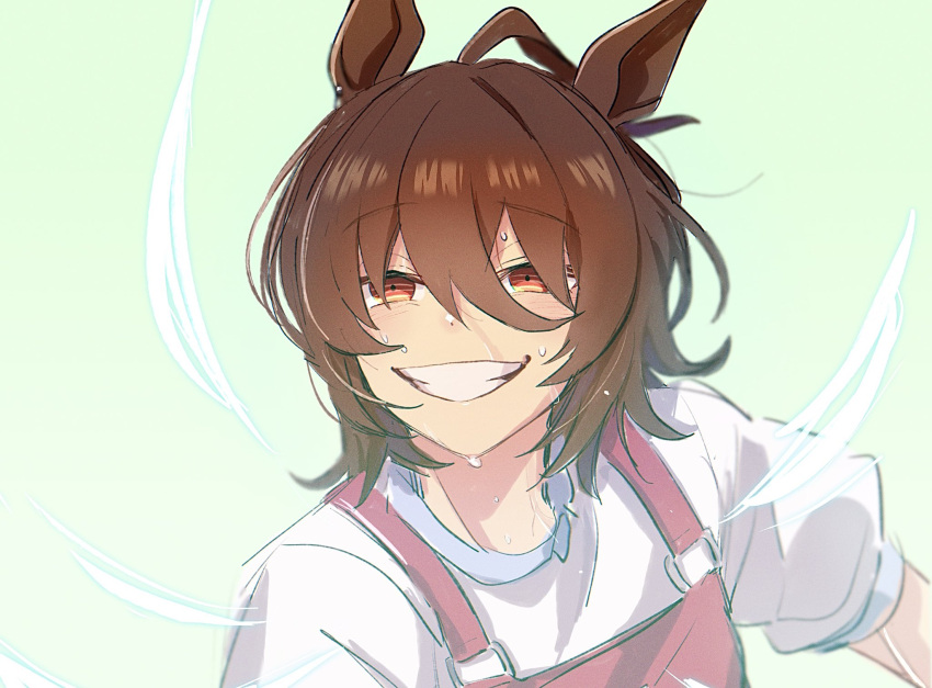 1girl, agnes_tachyon_(umamusume), ahoge, animal_ears, brown_hair, grin, hair_between_eyes, highres