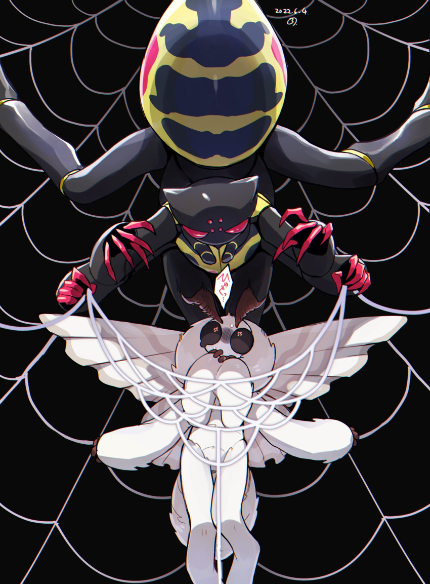 animal_focus, antennae, black_background, bug, claws, dated, extra_arms, extra_eyes