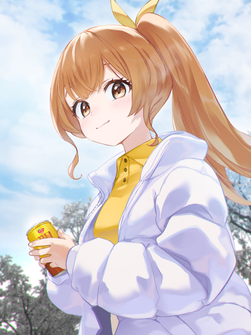 1girl, brown_eyes, brown_hair, can, clouds, coat, collared_shirt, galgaal4846