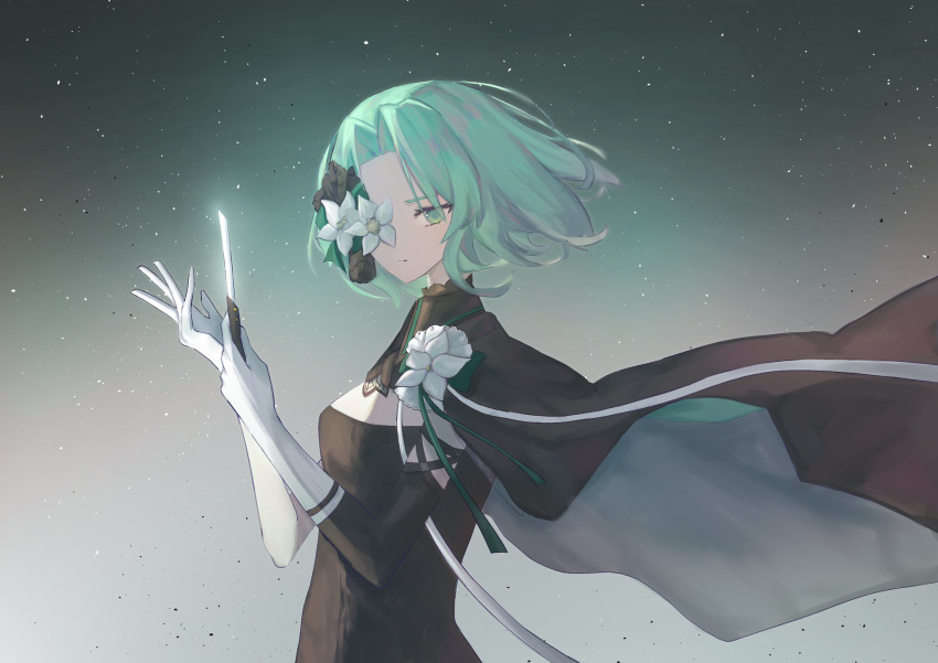 arcaea, black_cape, cape, closed_mouth, floating_cape, floating_hair, flower, flower_over_eye