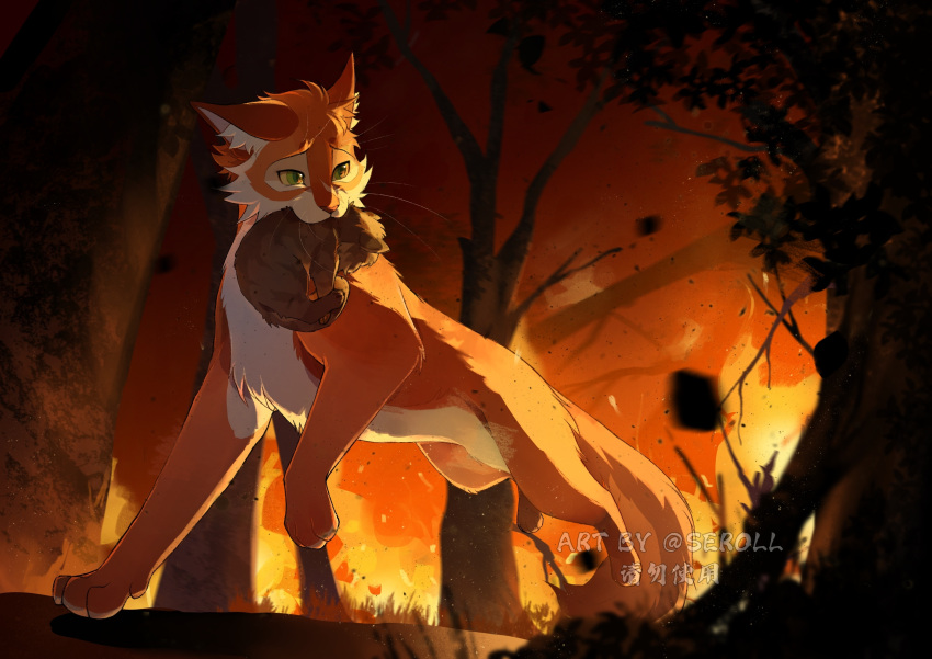 absurdres, animal, animal_focus, bramblestar, brown_cat, carrying, cat, chinese_commentary, commentary_request, fire, firestar_(warrior_cats), forest, full_body, green_eyes, highres, holding, kitten, nature, no_humans, orange_cat, outdoors, seroll, walking, warrior_cats, watermark, whiskers