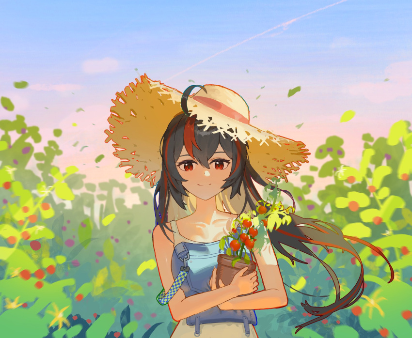1girl, ahoge, black_hair, canindaeyo, dress, field, floating_hair, gradient_sky, hat, highres, long_hair, looking_at_viewer, multicolored_hair, plant, potted_plant, red_eyes, redhead, single_off_shoulder, sky, smile, solo, straight-on, straw_hat, streaked_hair, tomato_plant, upper_body, white_dress, zenless_zone_zero, zhu_yuan