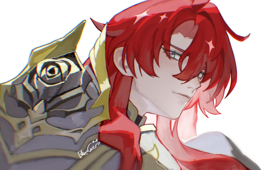 1boy, argenti_(honkai:_star_rail), armor, blue_cat_(22478475), closed_mouth, curtained_hair, flower, green_eyes
