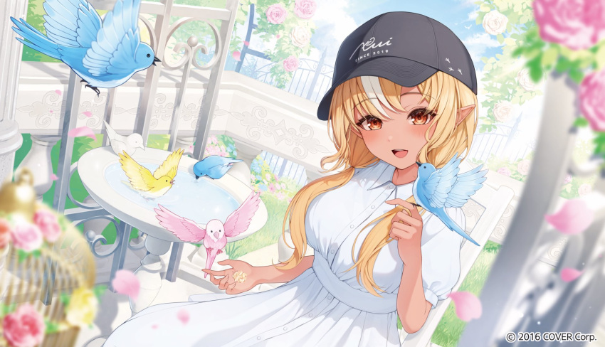 1girl, :d, alternate_costume, alternate_hairstyle, baseball_cap, bird, bird_on_hand, birdcage, black_hat, blonde_hair, blue_sky, blurry, blush, breasts, button_dress, cage, clouds, collared_dress, commentary_request, copyright_notice, dark-skinned_female, dark_skin, day, depth_of_field, dress, elf, flower, garden, hair_over_shoulder, hand_up, hat, head_tilt, highres, hololive, large_breasts, long_hair, looking_at_viewer, low_twintails, multicolored_hair, official_art, on_chair, orange_eyes, outdoors, parted_bangs, pink_flower, pink_rose, pointy_ears, print_headwear, puffy_short_sleeves, puffy_sleeves, rose, shiranui_flare, short_sleeves, sitting, sky, smile, solo, standing, streaked_hair, teeth, twintails, tyabesu, upper_teeth_only, virtual_youtuber, white_dress, white_flower, white_hair, white_rose, wing_collar
