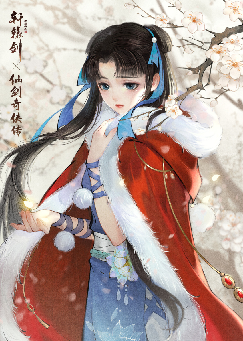 1girl, blue_ribbon, chinese_clothes, cloak, flower, hair_bun, hair_ribbon, highres